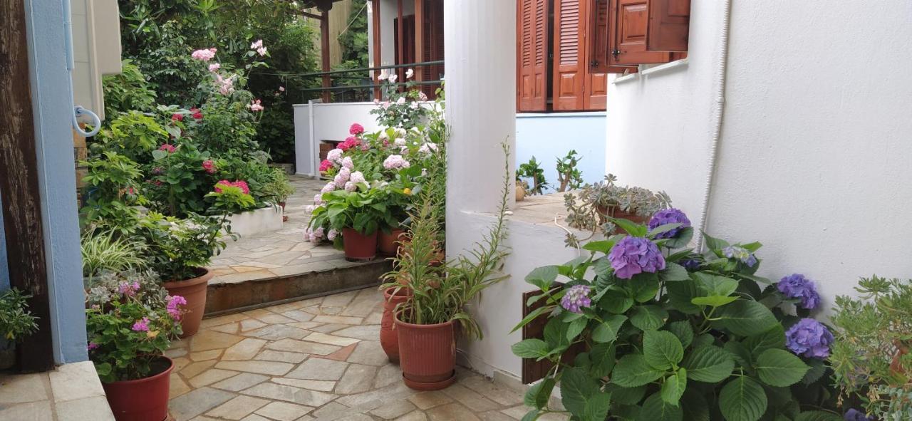 Anesis Hotel Agios Ioannis  Kültér fotó